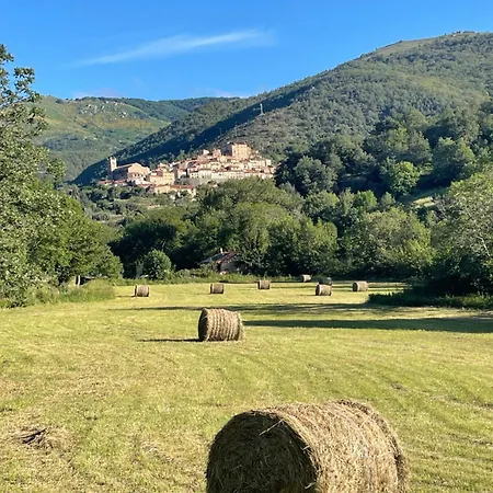 Domaine St Georges