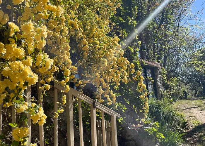 Tatil Evi Domaine St Georges *
